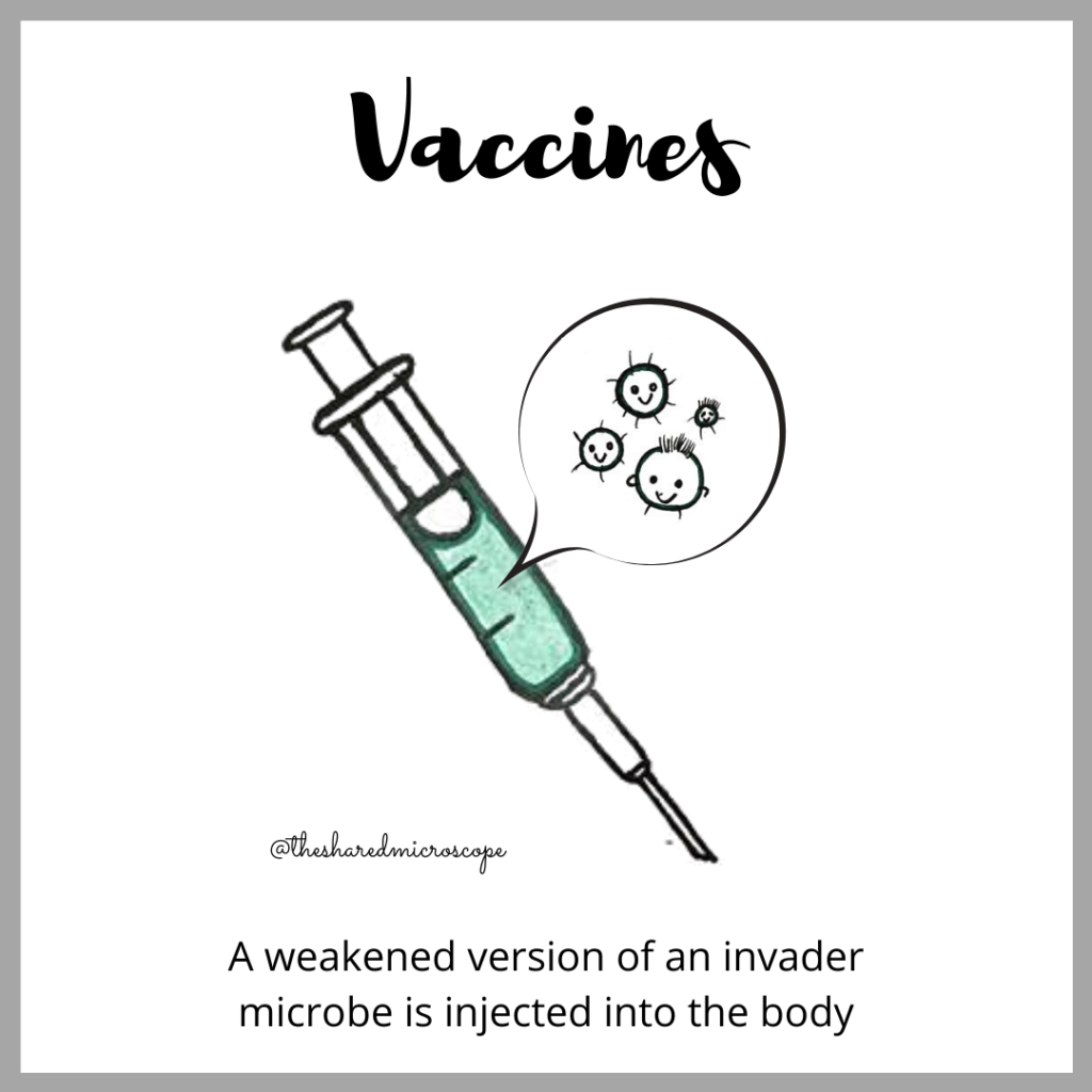 An image of vaccines with an injection highlighting small weakened viral particles that are inside the injection tube. The image has a text at the bottom which reads "a weakened version of an invader microbe is injected into the body"